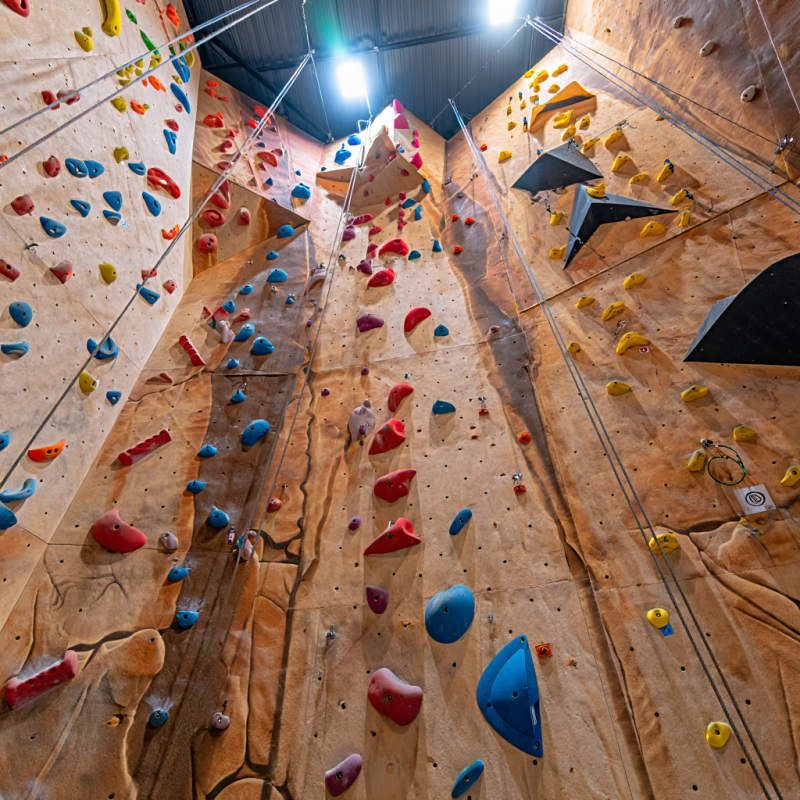 MIZONE Multifunctional Climbin - Kids Outdoor Climbing Equipment incelemesi ve fiyatı