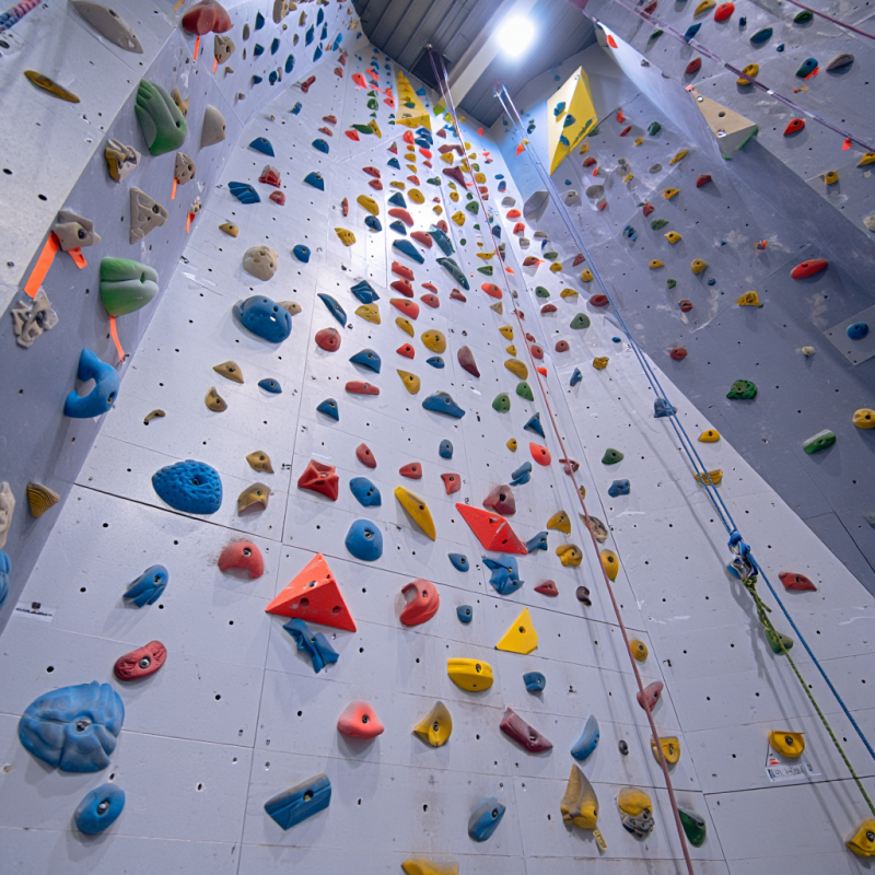 MIZONE Multifunctional Climbin - Kids Outdoor Climbing Equipment incelemesi ve fiyatı