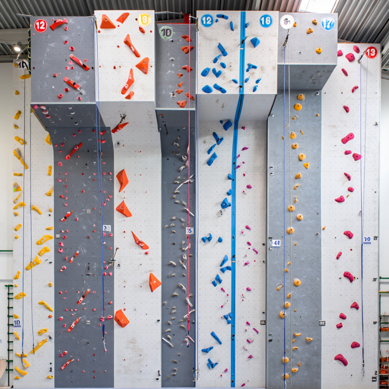 MIZONE Multifunctional Climbin - Kids Outdoor Climbing Equipment incelemesi ve fiyatı