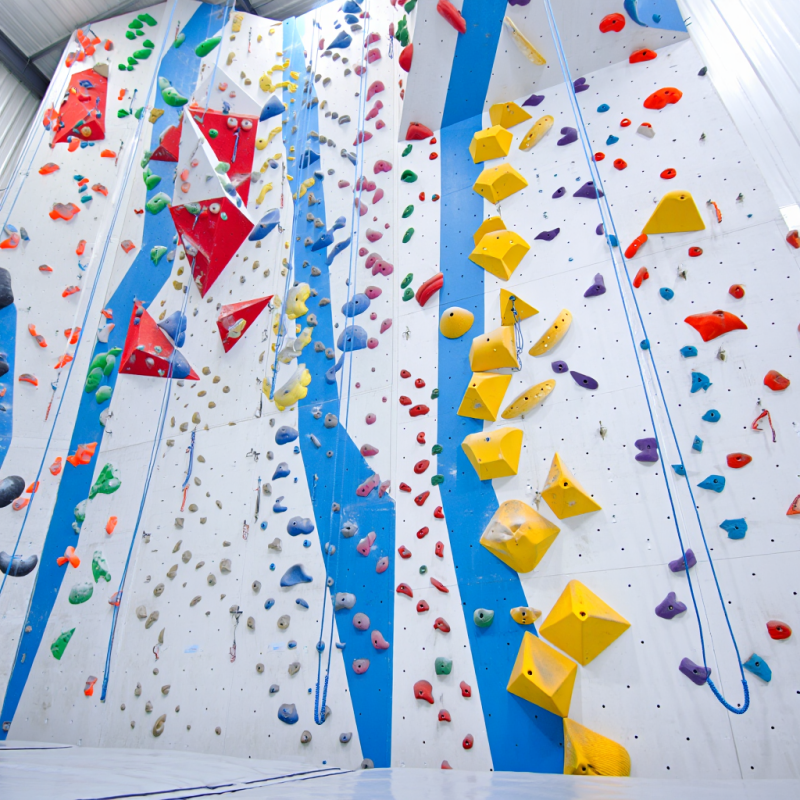 MIZONE Multifunctional Climbin - Kids Outdoor Climbing Equipment incelemesi ve fiyatı